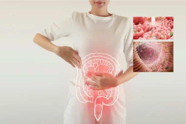 Gezonde Darmen bij een vrouw